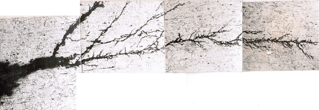 青潔能韓泰清氯脆照片 青潔能韓泰清氯脆照片